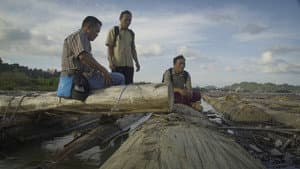 Uprooted - The Olympic Tribe — foto 3