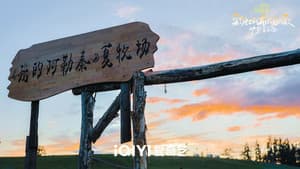 《我的阿勒泰》旷野音乐会 — foto 2