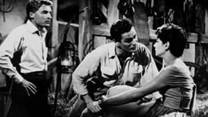 La delatora — foto 1
