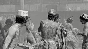 The Haka Party Incident — foto 1