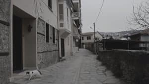 ΤΟ ΤΑΞΑΚΙ — foto 3