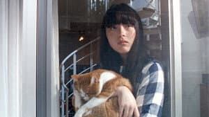 猫、かえる — foto 1