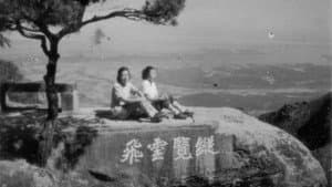 公园日记 — foto 1