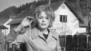 Kukačky — foto 2