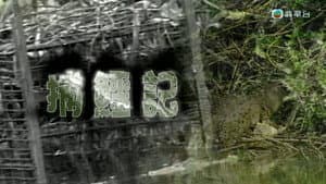 Episodio 291