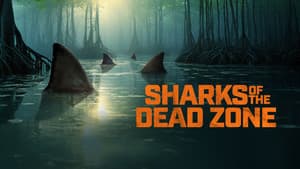 Sharks of the Dead Zone — foto 1
