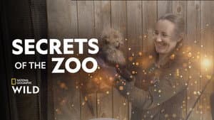 Secrets of the Zoo — foto 7