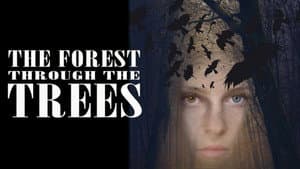 The Forest Through the Trees — foto 2