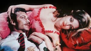 Elveda — foto 2