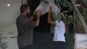 Episodio 15