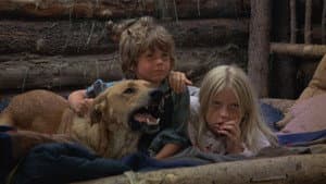 The Adventures of the Wilderness Family — foto 9