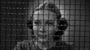Woman Against the World — foto 2