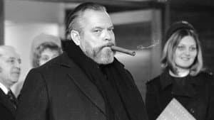 Searching for Orson — foto 1