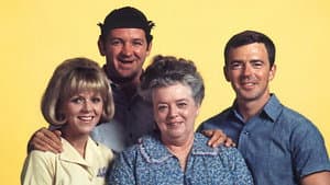 Mayberry R.F.D. — foto 1