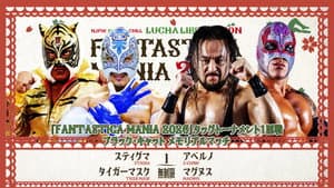 NJPW Presents CMLL Fantastica Mania 2026 - Day 1 — foto 8