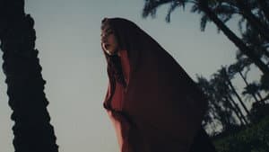 حمول السفر — foto 1