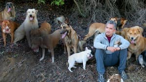 César Millan — foto 6