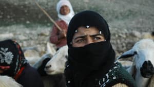 Demsala dawi: Sewaxan — foto 1