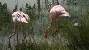 Cuba: The Accidental Eden — foto 3