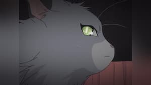 Episodio 9
