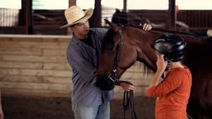 A Horse Called Bear — foto 1