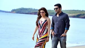 టెంపర్ — foto 8