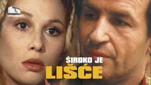 Siroko je lisce — foto 1