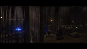 Anadolu Leoparı — foto 5