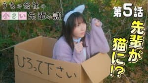 Episodio 5