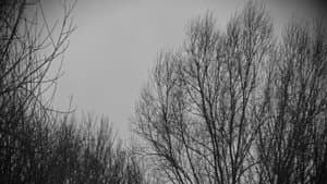 In Winter — foto 1
