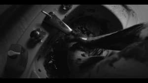 Seraph's Sorrow — foto 1