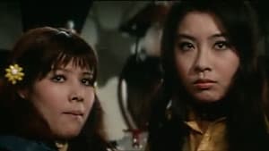ずべ公番長 はまぐれ数え唄 — foto 1