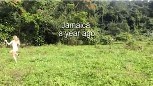 Jamaica, A Year Ago — foto 1