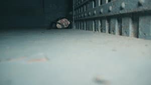 Mister Creep — foto 1