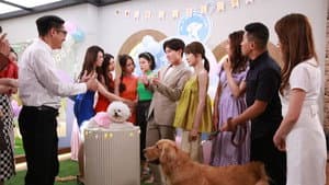 寵愛 Pet Pet — foto 3