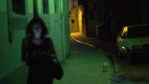 A Gay Girl in Damascus: The Amina Profile — foto 1