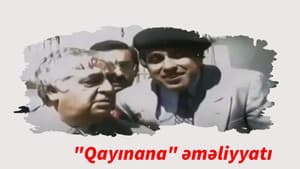 "Qayınana" əməliyyatı — foto 1