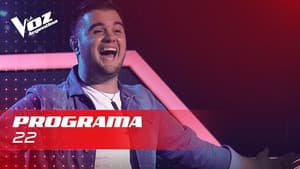 Episodio 22