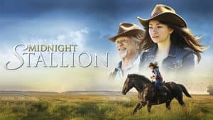 Midnight Stallion — foto 3