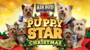 Pup Star: Navidad — foto 3