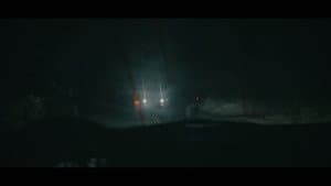 The Woods — foto 7
