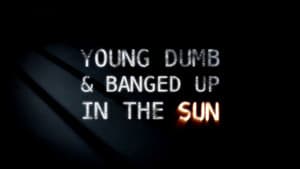 Young Dumb and Banged Up in the Sun — foto 1