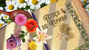 El Hechizo Del Estornudo