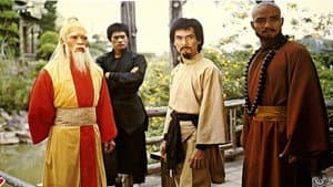 南拳北腿斗金狐 — foto 1