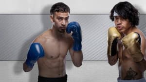 Zuffa Boxing 02 — foto 2