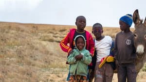 Territorio Africano — foto 9