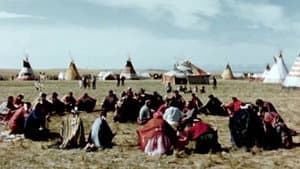 Circle of the Sun — foto 2