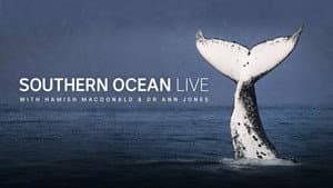 Southern Ocean Live — foto 2