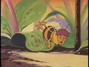 Episodio 19