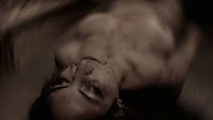 Nati morti — foto 1
